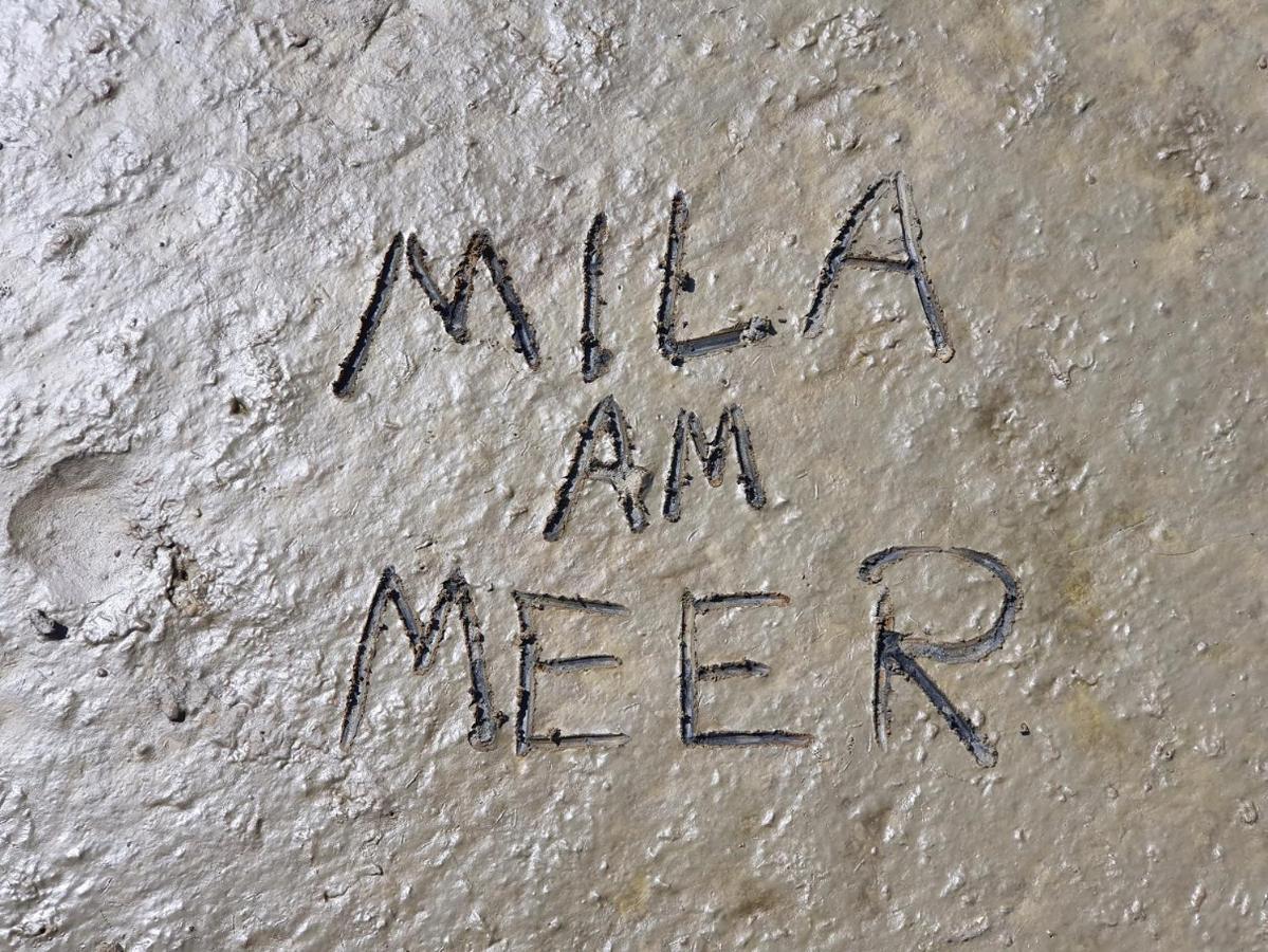 Mila Am Meer Neuharlingersiel Exteriör bild
